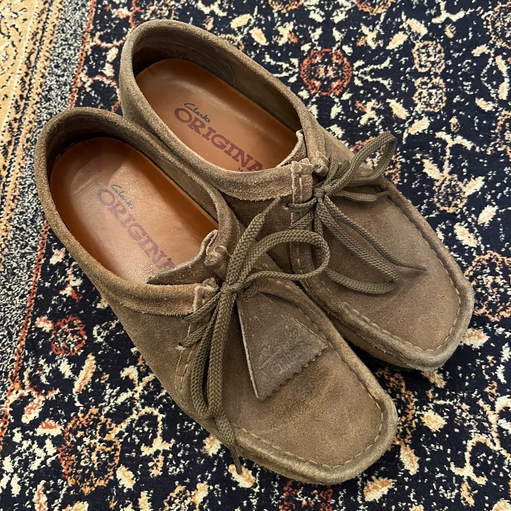 Clark wallabies